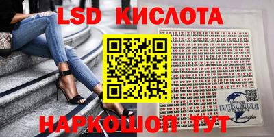 дмт Ставрополь