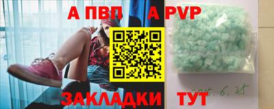 хмурый Тара
