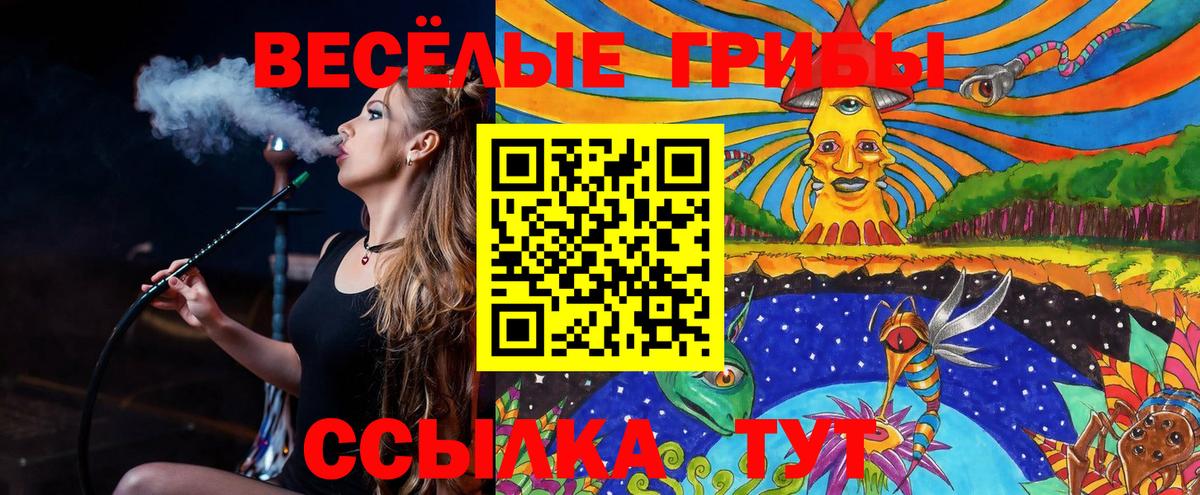 Галлюциногенные грибы прущие грибы  Псилоцибиновые грибы Magic Shrooms  Вход с VPN  Малгобек 